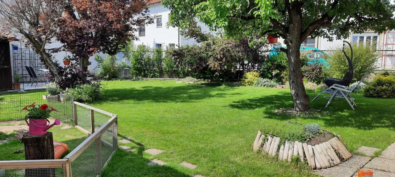 Ferienhaus Lina Neusiedl am See Dış mekan fotoğraf